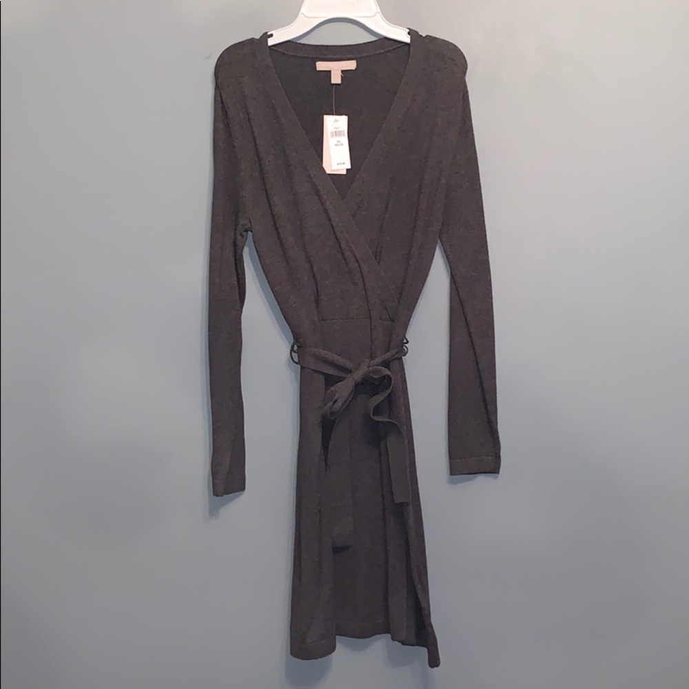 Brand New Banana Republic Sweater Dress